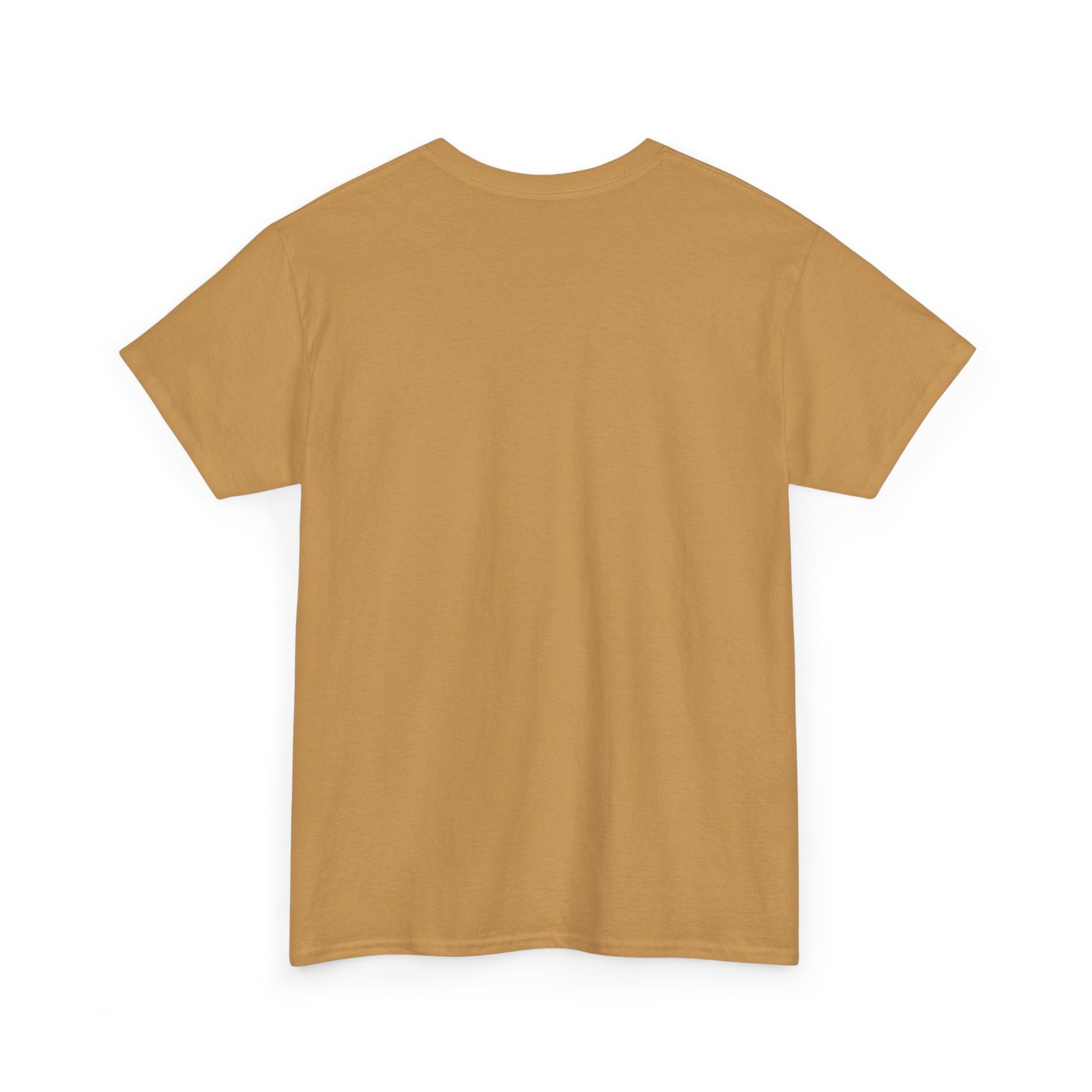 Coostucky Chronicle Logo T-Shirt - Image 20