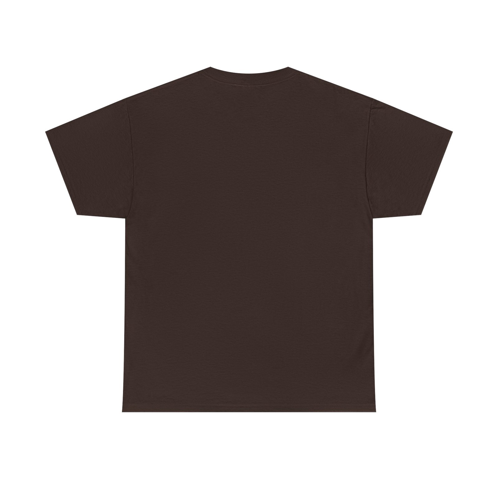 Coostucky Chronicle Logo T-Shirt - Image 26