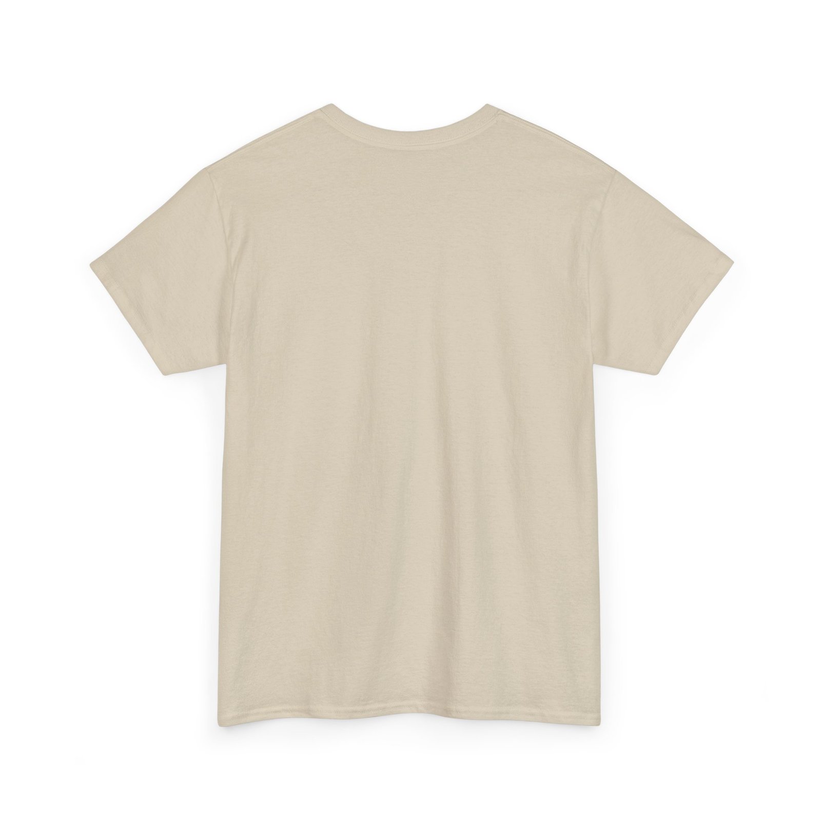 Coostucky Chronicle Logo T-Shirt - Image 12