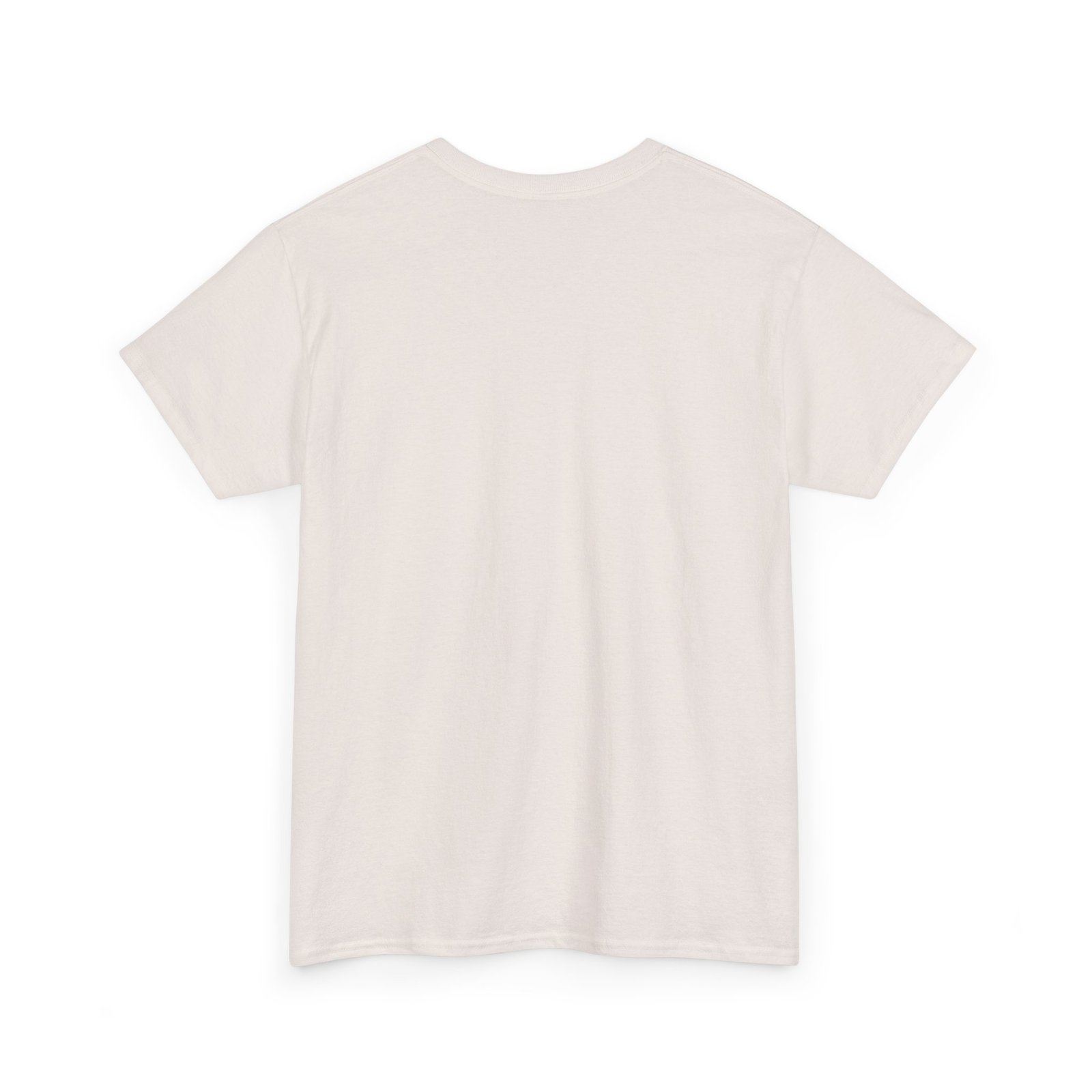 Coostucky Chronicle Logo T-Shirt - Image 16