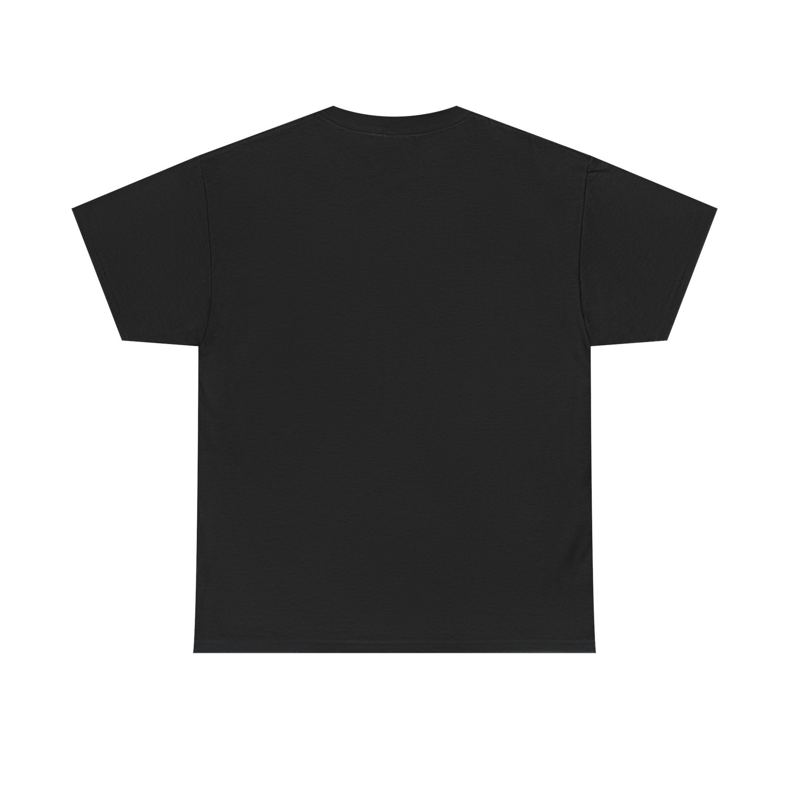 Coostucky Chronicle Logo T-Shirt - Image 6