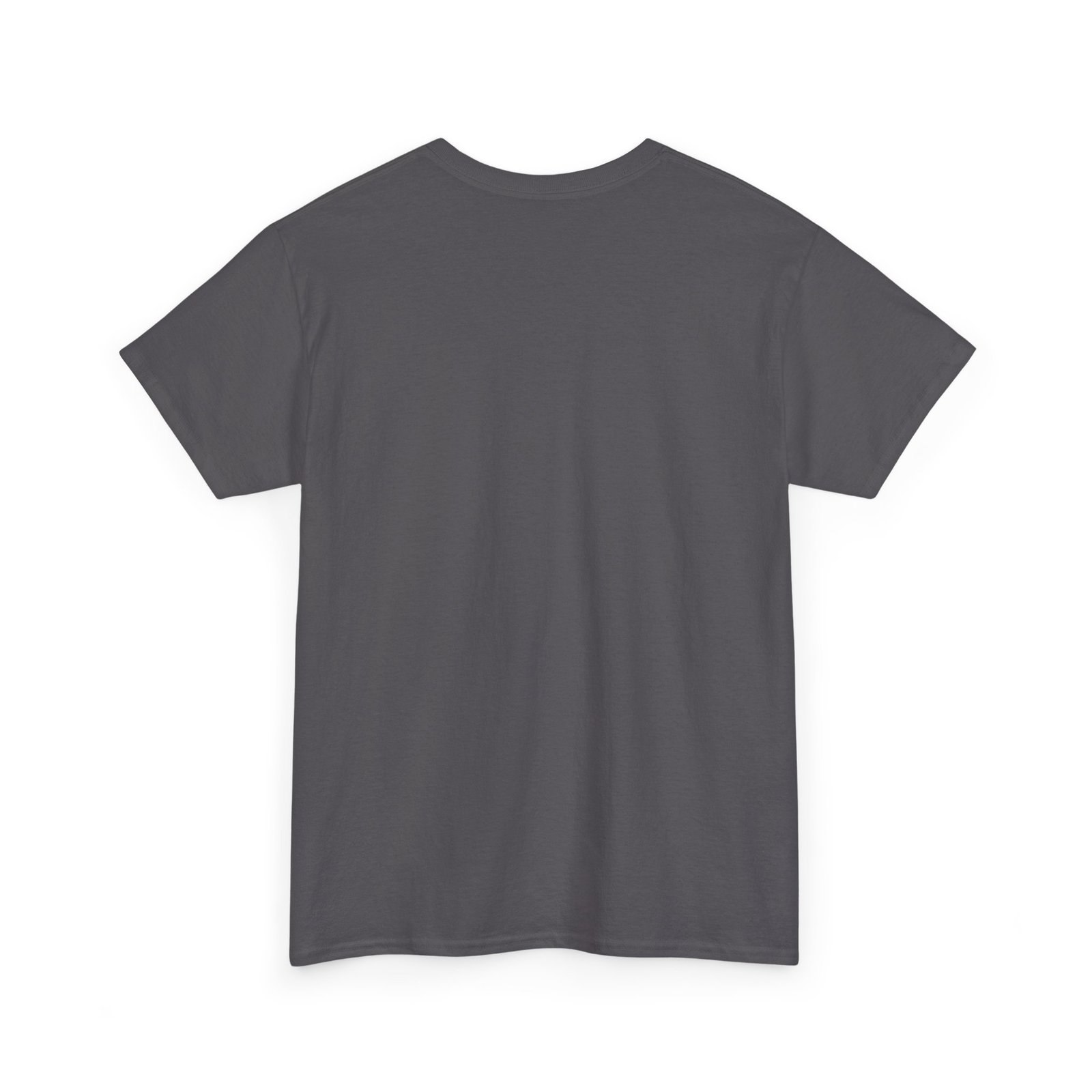 Coostucky Chronicle Logo T-Shirt - Image 44