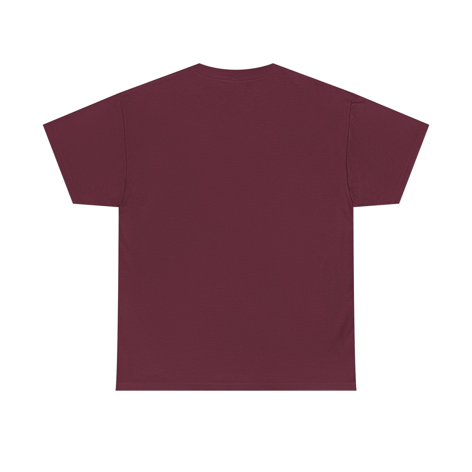 Coostucky Chronicle Logo T-Shirt - Image 22
