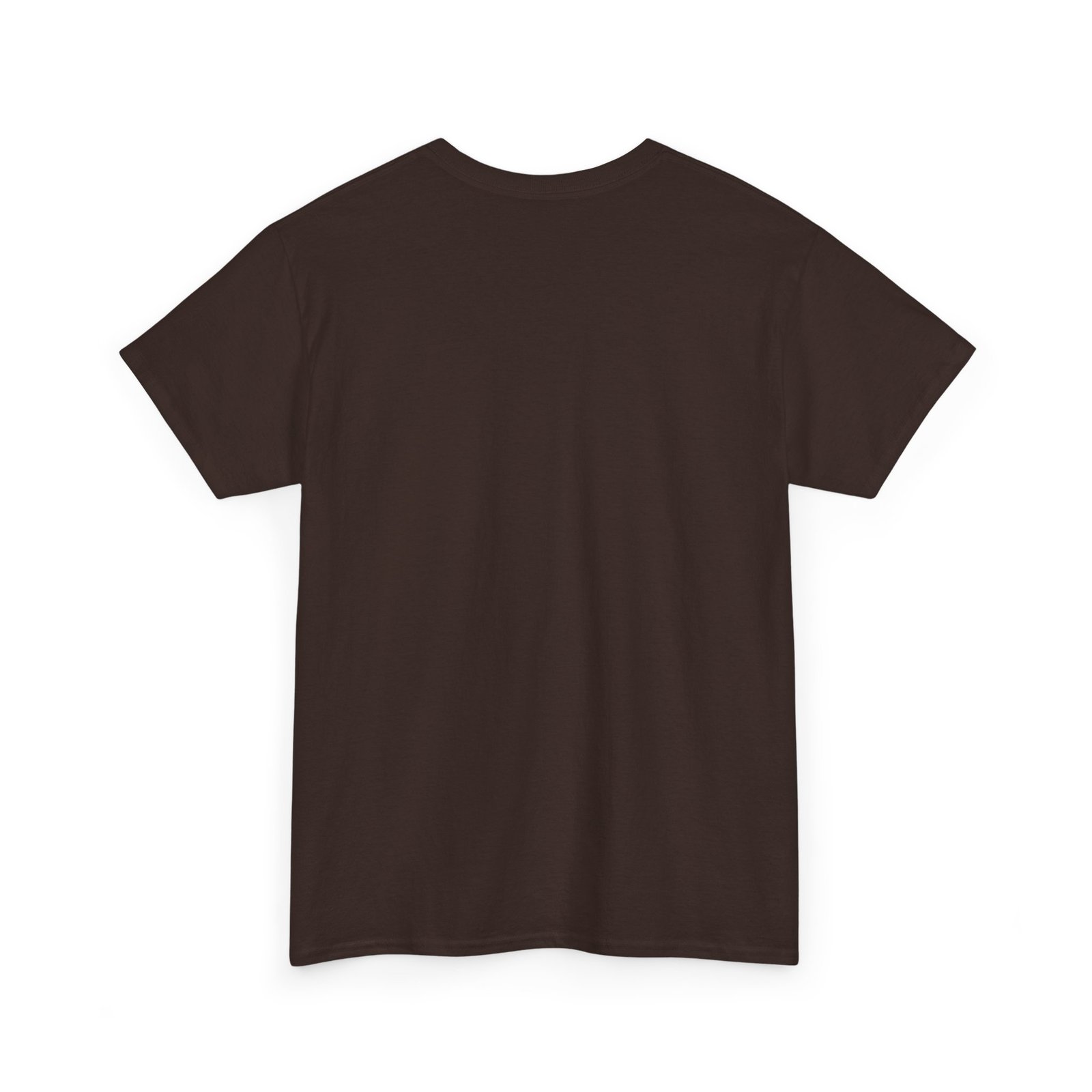 Coostucky Chronicle Logo T-Shirt - Image 28