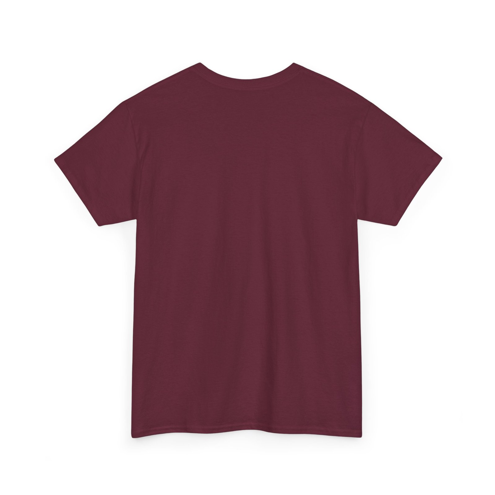 Coostucky Chronicle Logo T-Shirt - Image 24