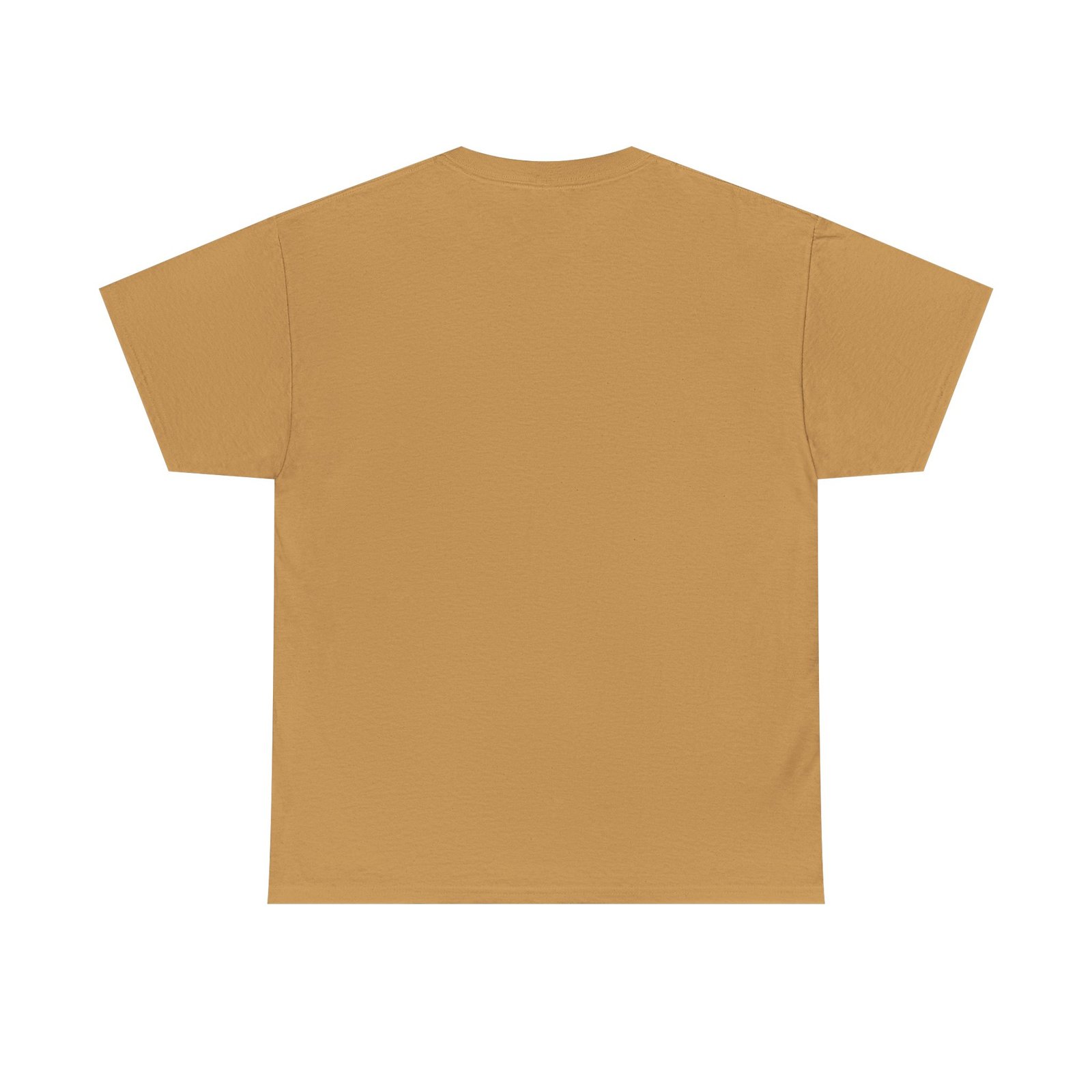 Coostucky Chronicle Logo T-Shirt - Image 18