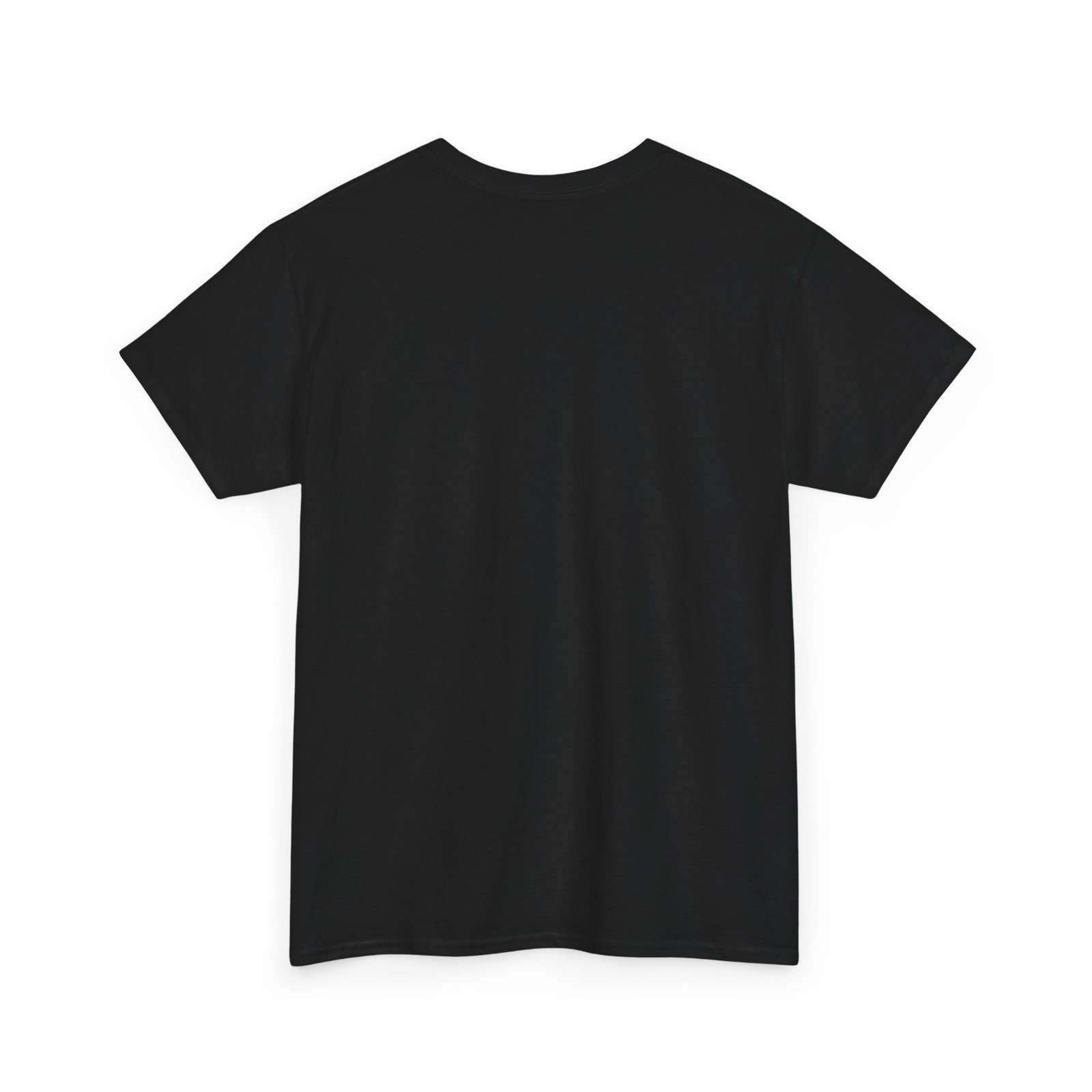 Coostucky Chronicle Logo T-Shirt - Image 8
