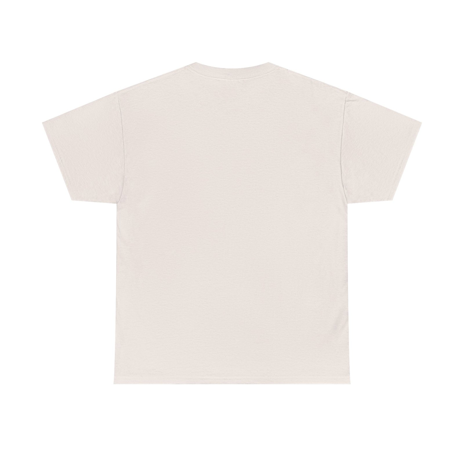 Coostucky Chronicle Logo T-Shirt - Image 14