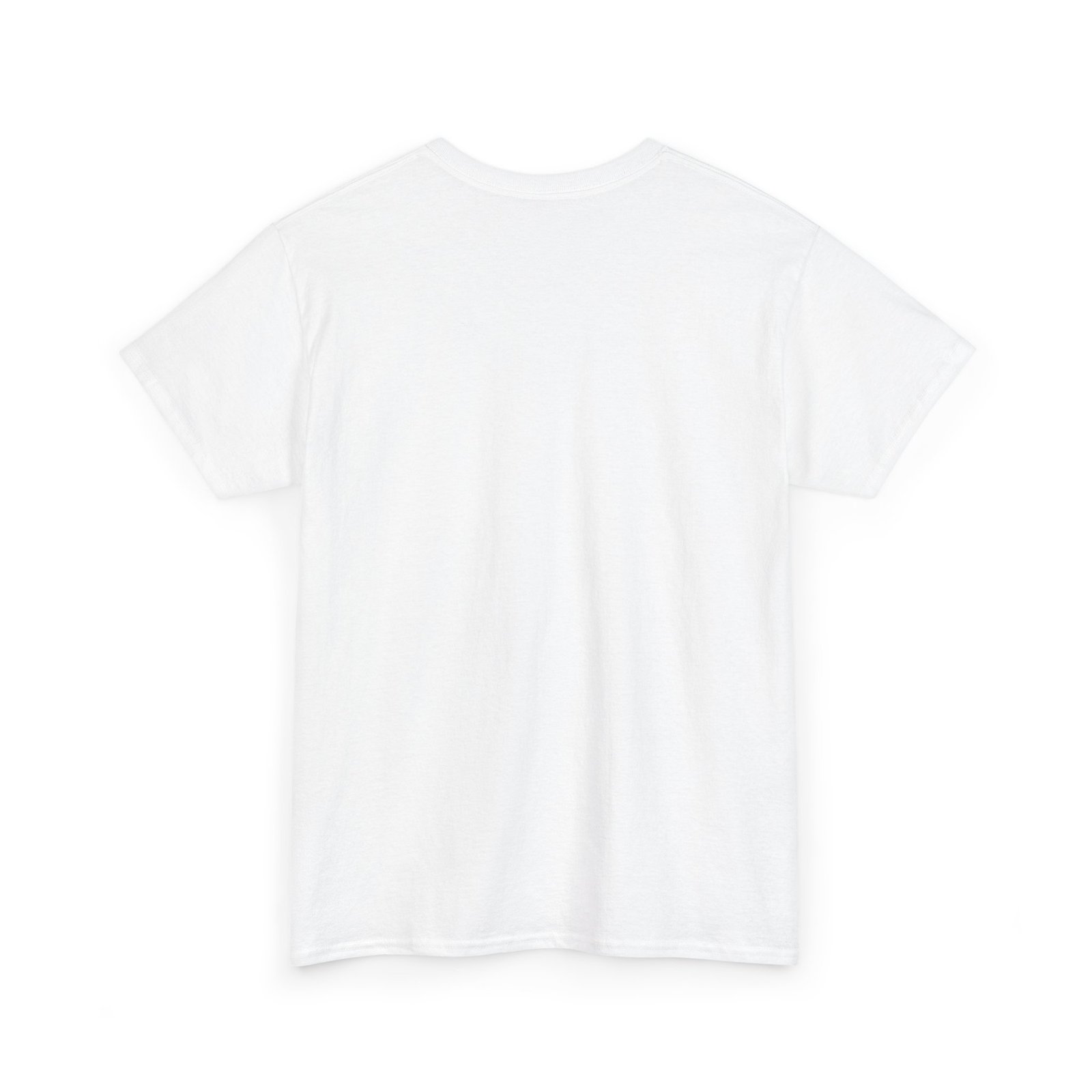 Coostucky Chronicle Logo T-Shirt - Image 4